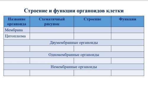 Строение и функции органоидов клетки