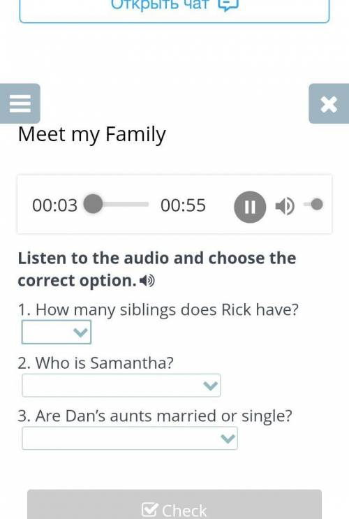 Listen to the audio and choose the correct option. 4) 1. How many siblings does Rick have? 2. Who is