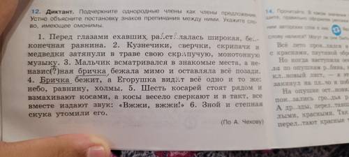 12.Диктант. Подчеркните однородные члены как члены предложения. Устно объясните постановку знаков пр