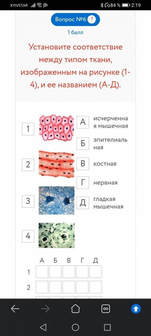 Вопрос №1 ? Укажите науку, которая изучает функции клеток. гистология цитология анатомия физиология