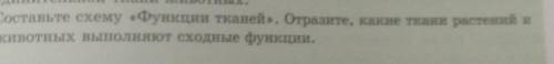3. Составьте схему «Функции тканей». Отразите, какие ткани растений животных выполняют сходные функц