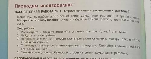 сделать эту лабораторную работу 6того класса