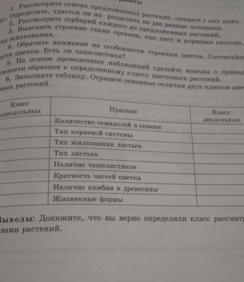 с этой лабораторной работой пд