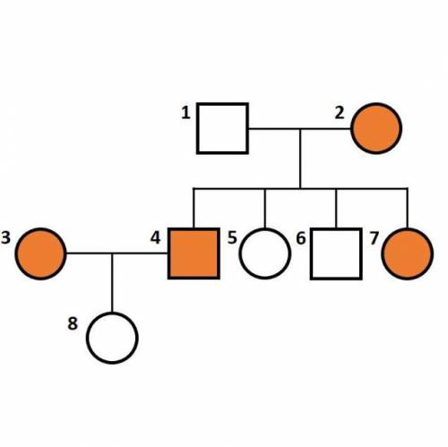 На схеме изображена родословная определённой семьи. Символы, заполненные оранжевые цветом, означают