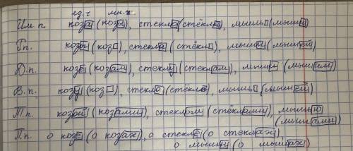 48Б. Просклоняй по одному существительно- му 1, 2 и 3-го склонения. Выдели их окончания ​