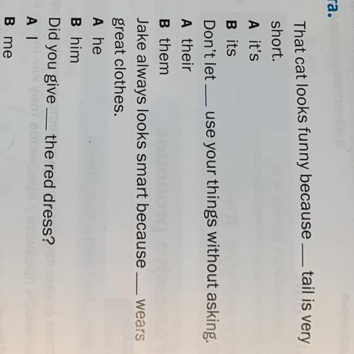 5 That cat looks funny because — tail is very short. A it's 6 7 B its Don't let — use your things wi