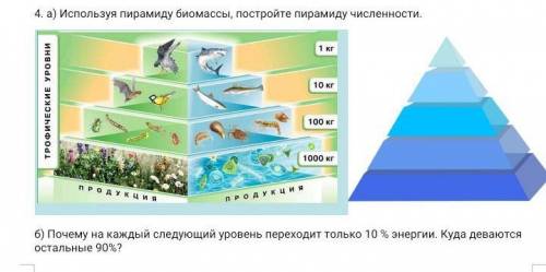 ТОМУ КТО ВЫПОЛНИТ ЗАДАНИЕ