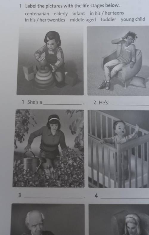 1 label the pictures with the life stages below