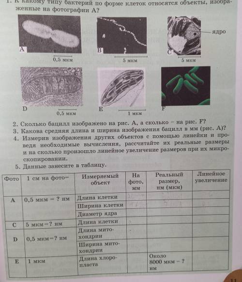 биология 9 класс моделирование номер 1 мне только табличку заполнить ♡♡♡♡♡