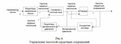 Специалистам медицинских профессий существенную оказывают модели физиологических систем управления.