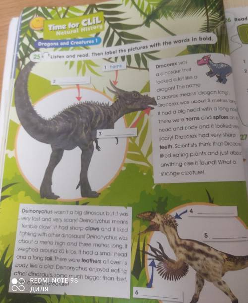 Time for CLIL Natural HistoryDragons and Creatures 125 Listen and read. Then label the pictures with