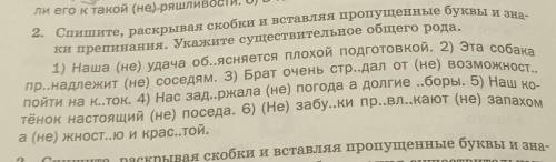 2. Спишите, раскрывая скобки и вставляя пропущенные буквы и зна ки препинания. Укажите существительн