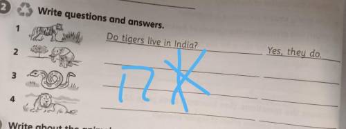 2 Write questions and answers. Yes, they do. 1 از زنده ام Do tigers live in India? 2 3 4 رام 5 класс