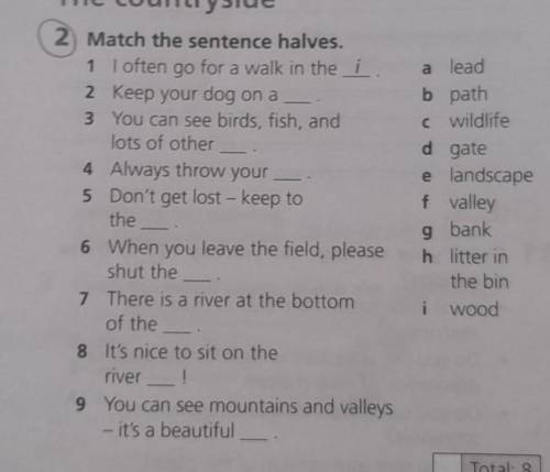 2 Match the sentence halves. 1 I often go for a walk in the i 2 Keep your dog on a _. 3 You can see