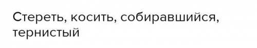 Найдите слова, в которых есть чередующиеся безударные гласные: Положение Стереть Примирять Замират