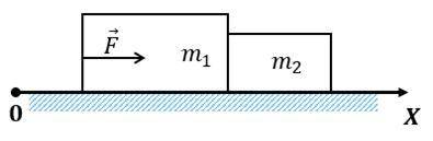 Бруски (m1 = 2 кг, m2 = 6 кг) лежат на гладкой горизонтальной плоскости, соприкасаясь стенками, как