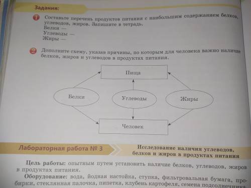 Дополните схему указав причины по которым для человека важно наличие белков жиров и углеводов в прод