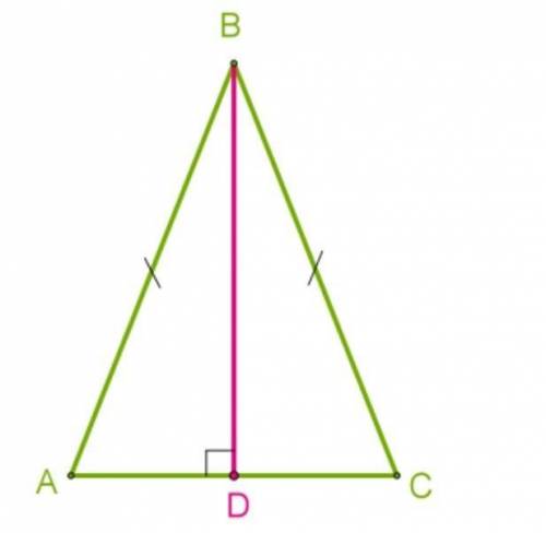 В равнобедренном треугольнике ABC проведена высота к основанию AC, длина основания равна 24 см, ∡CBD