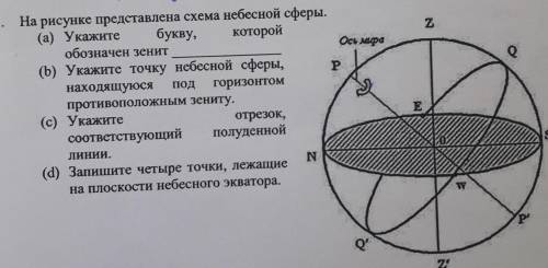 Z N о На рисунке представлена схема небесной сферы. (а) Укажите букву, которой обозначен зенит Oct m