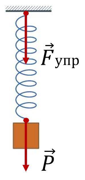 Если груз некоторой массы подвесить к пружине, то в результате их взаимодействия пружина деформирует