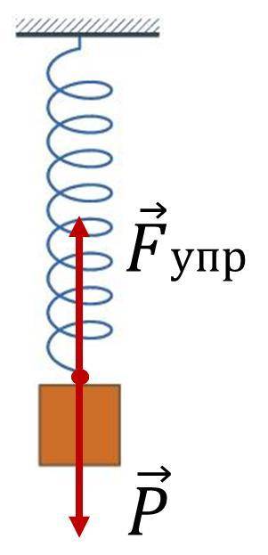 Если груз некоторой массы подвесить к пружине, то в результате их взаимодействия пружина деформирует