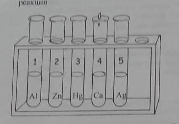 3.посмотрите на рисунок. во все пробирки налит раствор соляной кислоты НСI. В них поместили металлы.