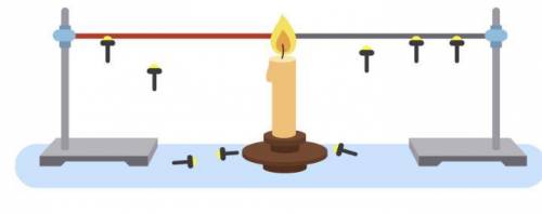 Два одинаковых по размеру стержня с закреплёнными на них с парафина гвоздиками нагревают с торца (см