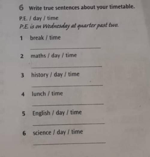 6 Write true sentences about your timetable