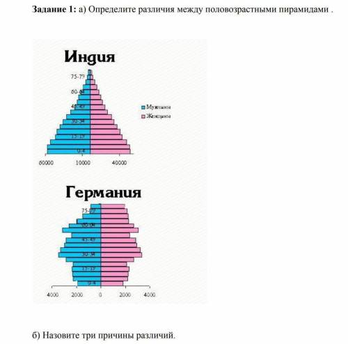 определите различия между полувозрастными пирамидами