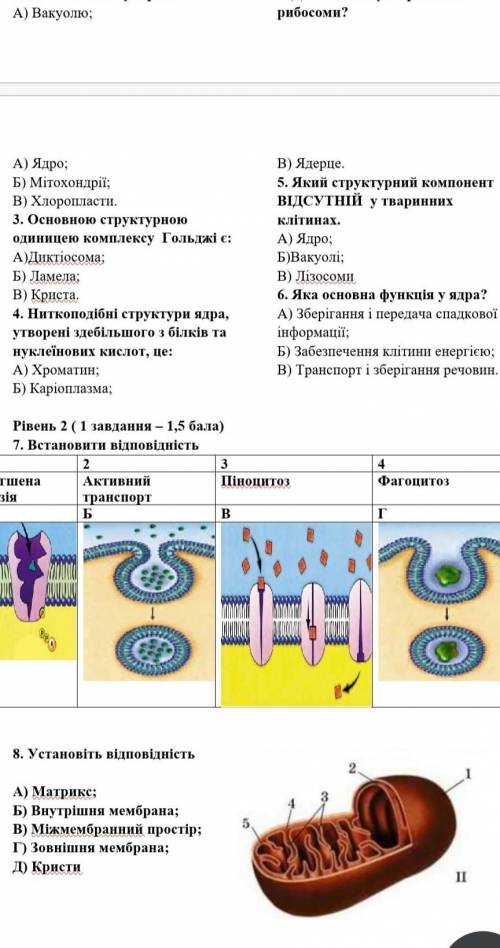 поиогите контроша по биологии