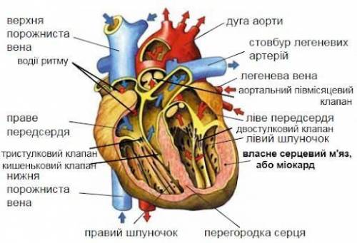 Будьласка дуже потрібно!