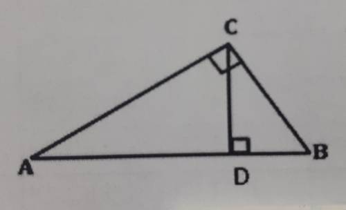 Используя чертеж, найти катет АС и высоту CD прямоугольного треугольника, если проекции катетов на г