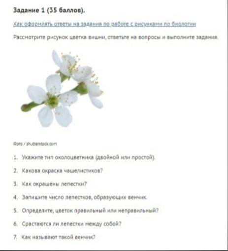 Задание 1 (См. картинку 1) 1. Укажите тип околоцветника (двойной или простой). 2. Какова окраска чаш