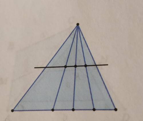 1. * Вершину треугольника соеди- няют с произвольными точками на его противоположной стороне. Докажи