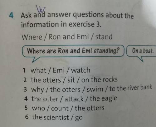 4 Ask and answer questions about the information in exercise 3. Where / Ron and Emi/ stand Where are