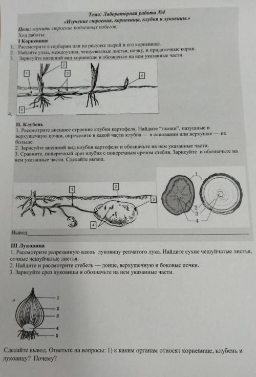 Лабораторная работа по биологии. 6 класс. Учебник Пономарёвой.