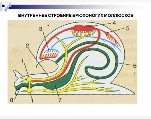 Подписать нужно цифры!