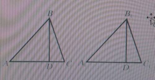 На рисунке треугольник ABC= треугольник A1, B1, C1, угол DBC=D1, B1, C1 докажите что уютреугольник D