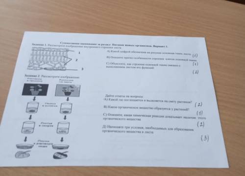 Сор по биологии 7 класс. Решите )