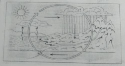 Описать с рисунка мировой круговорот воды (не менее 10 предложений, используя термины природных проц