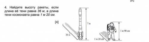 Найдите высоту ракеты, если длина ее тени равна 36 м, а длина тени космонавта равна 1 м 20см, а сам