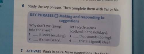 Study the key phrases. Then complete them with Yes or No