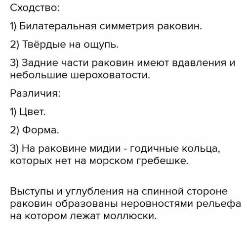 Сходство и различие рапаны и гребешка