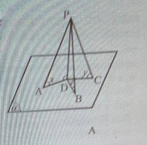 Известно, что PD⟂a, ∠PAD=x, ∠PCD=y, ∠PBD=z и x