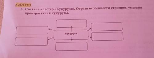 СИНТЕЗ 1. Составь кластер «Кукуруза». Отразн особенности строения, условия произрастания кукурузы