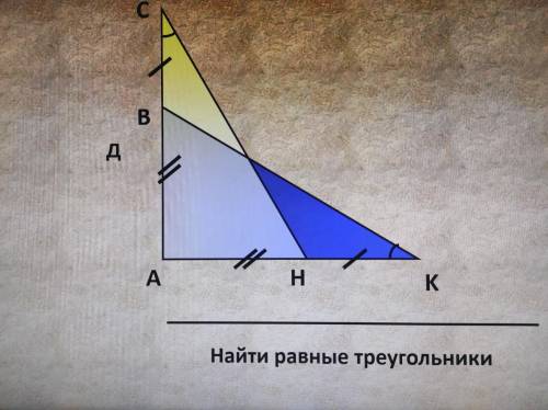Геометрия Треугольник