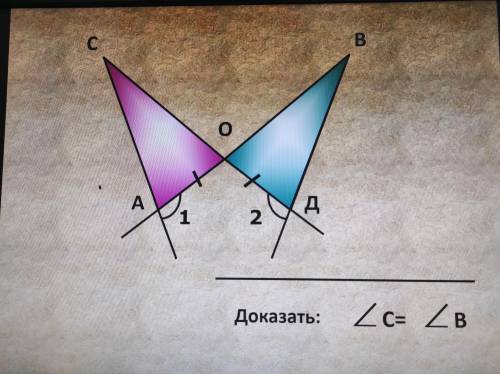 Геометрия Треугольник