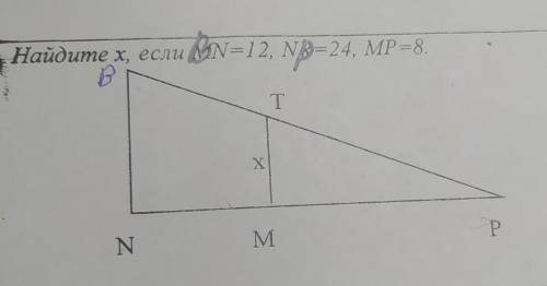 Найдите х, если BN=12, NB=24, MP=8