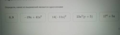 Определи, какие из выражений являются одночленами 23х3 (y+5) 14(–11x)? —19x +41x2 0,9