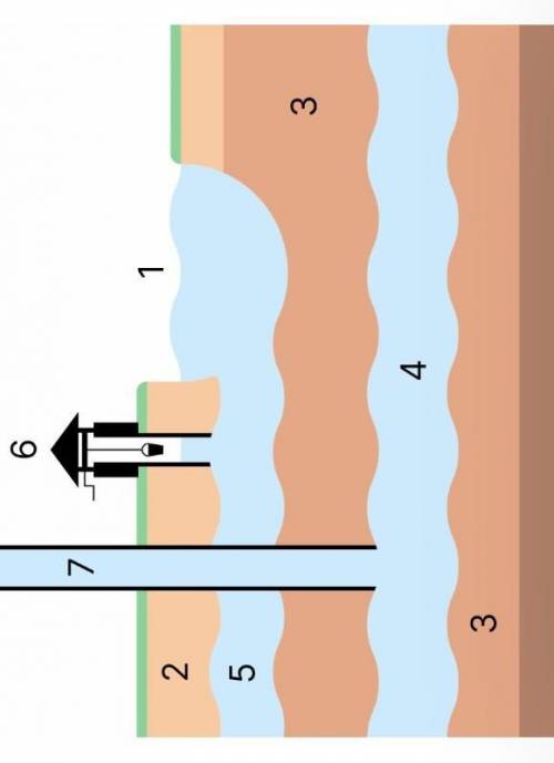 Запиши верные ответы цифрами. Какой цифрой показан слой, которого пытаются достичь с целью обеспечен